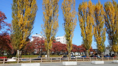 松本歯科大学界隈