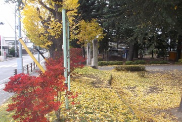 広丘小学校正門の紅葉