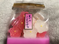 コロナウィルス抗体を持った赤ちゃん