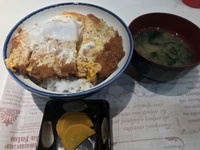 四天王寺学芸員にカツ