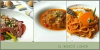 EL BOSCO