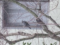 季節は…何？