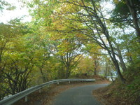紅葉狩り～＼(^o^)／