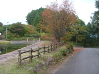 紅葉狩り～＼(^o^)／