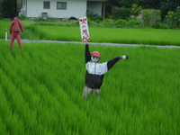 むかえ〇〇…？