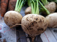 旬野菜を食べましょう！