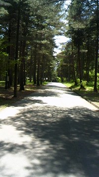 山越え谷越え