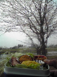 春雨のもと・・・