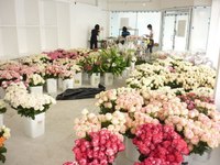 ウェディングレポート④　会場装花編　