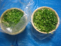 野沢菜の漬物