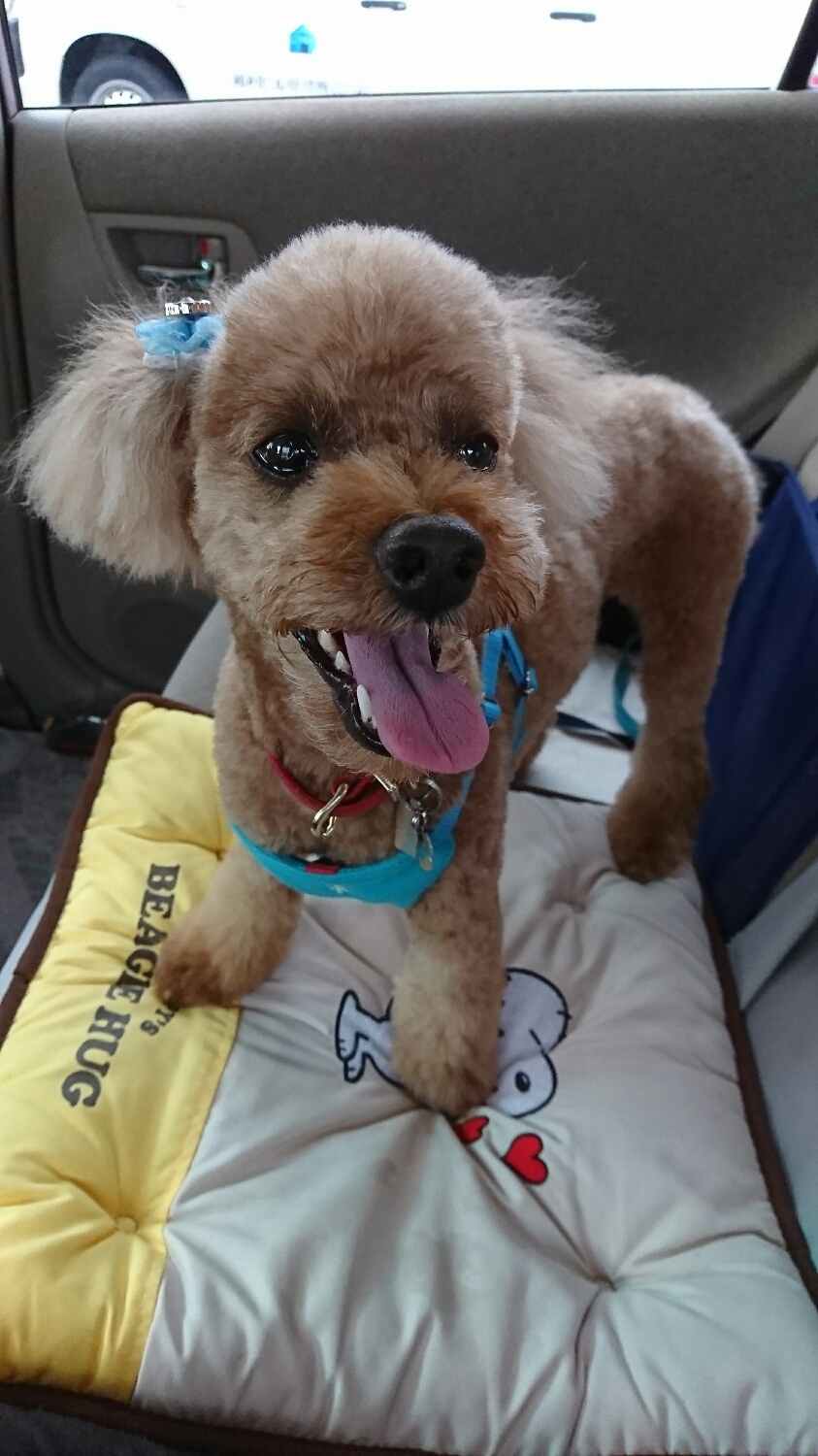夏仕様