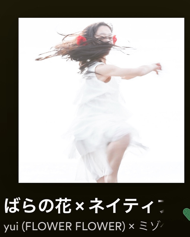 yuiがチャート入ってた❗️✨ 「ばらの花」 × 「ネイティブダンサー」