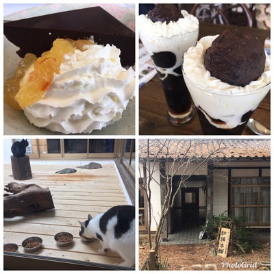 からあげセンター長野店でデッカい山賊焼！＆和猫本舗でチョコレートケーキ☆