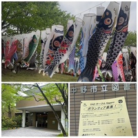 鯉のぼりたなびく、中野市立図書館から募集活動！✨