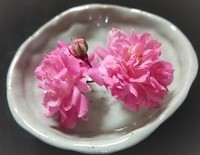 ２０１６年の下半期は