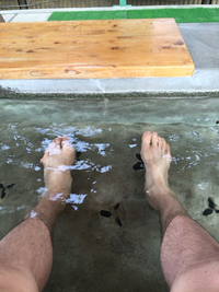 休日