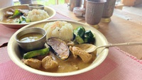 【MOUNTAIN HUT（マウンテンハット）】白馬村にある知る人ぞ知るカレーの名店！本格的カレー☆