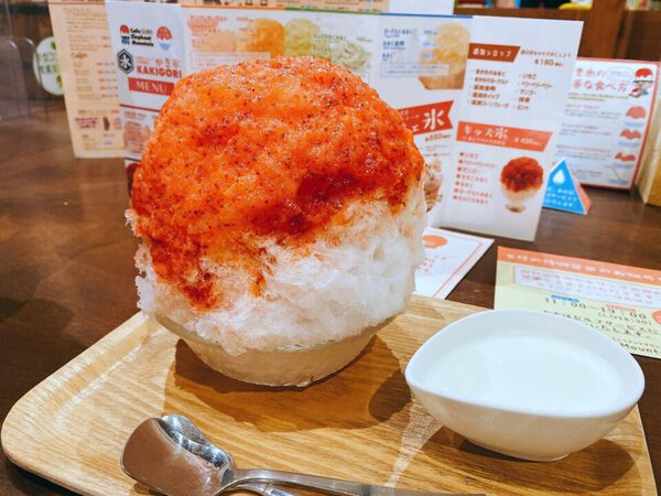 エレファントマウンテン