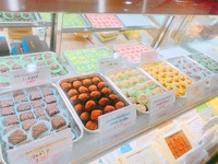 【生チョコBunzoo】飯山市のチョコレート専門店！めちゃくちゃ生チョコおいしかった！