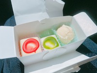 【北信濃ショコラの森Bunzoo（ブンゾー）】生チョコの生みの親が作る美味しい生チョコぜひご賞味あれ！