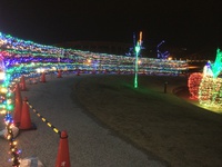 P○AP?・・・^^;
