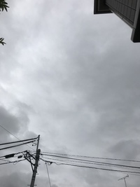 雨の匂いって好きですか？