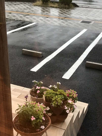 今日は雨の中・・・