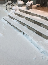 久々に・・・(ｰ ｰ;)