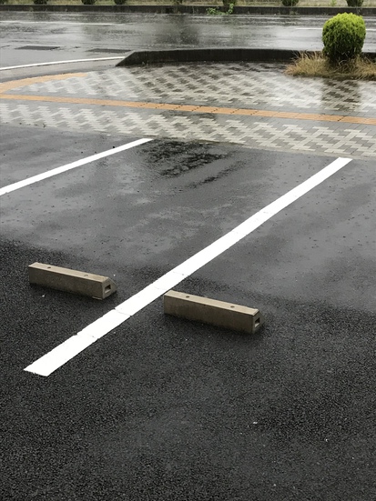 今日は雨の中・・・