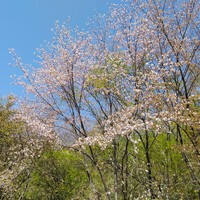 イベント終了 春キャンプ 2023.04.22-23 2023/04/24 12:00:00