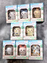 ♡箱買い♡