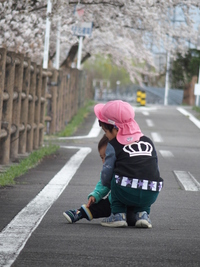 さくら　2018