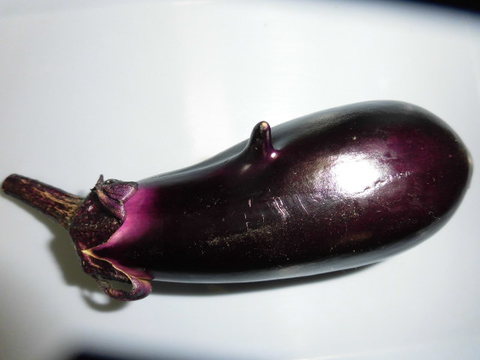 野菜作り  変ななす