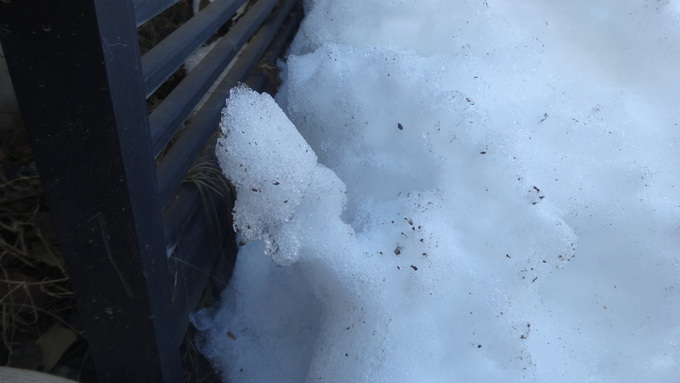 雪の精霊