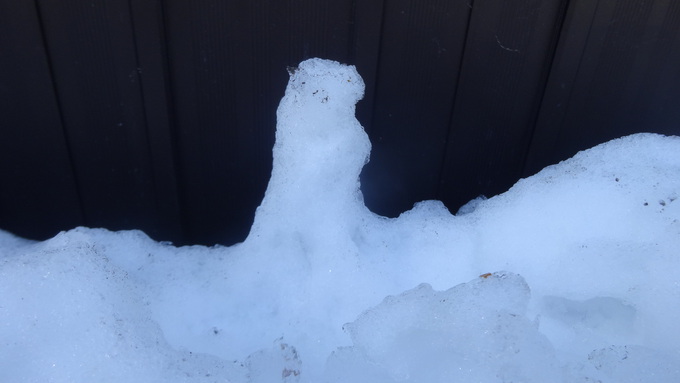 雪の精霊