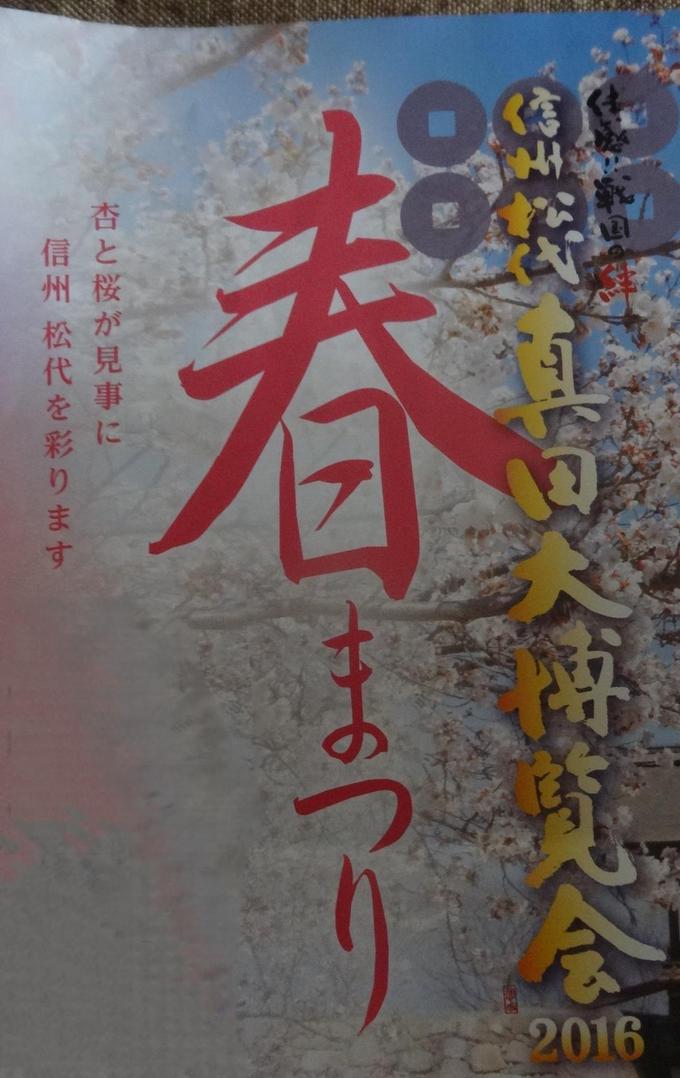 桜が満開