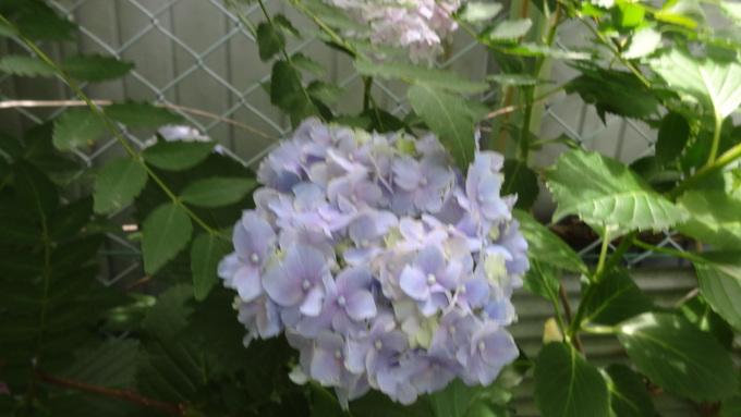 やっぱりピンク系