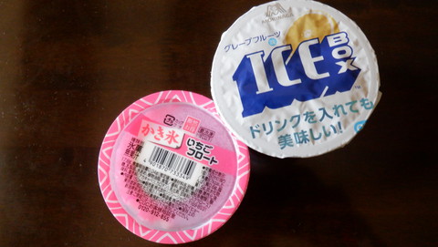 外には出られない