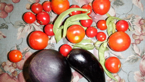 野菜作り