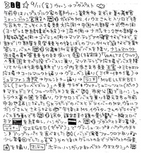 中欧の旅２　ウィーン→ブダペスト