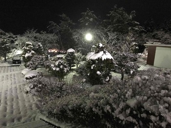 「雪、雪、雪」