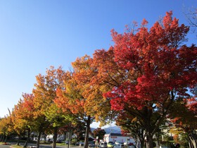 紅葉が始まって