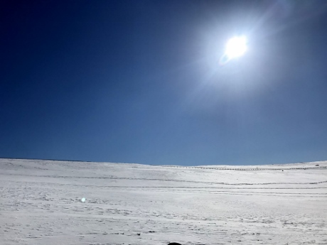 ホワイト天国、青い空と雪原に囲まれて ～ 「美ヶ原」スノーシューハイク