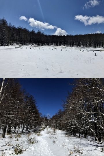 「湯ノ丸～烏帽子」でスノートレッキング