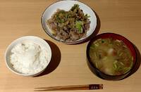 大学生が作るてきとう肉野菜炒め