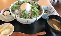 肴菜や　けい寿