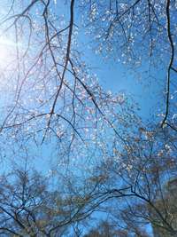 ✿*:･ﾟ3/24　お寺ヨガご感想✿*:･ﾟ