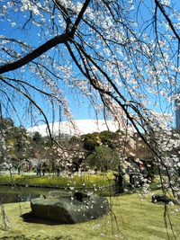 ✿*:･ﾟ3/24　お寺ヨガご感想✿*:･ﾟ