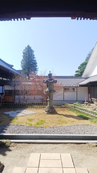 ✿*:･ﾟ4月第2日曜日 お寺ヨガご参加ありがとうございます⁽⁽ଘ( ˊᵕˋ )ଓ⁾⁾ ✿*: