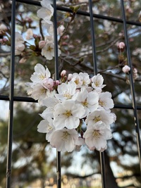 ＼ 4月13日、27日満席です♡ ／
